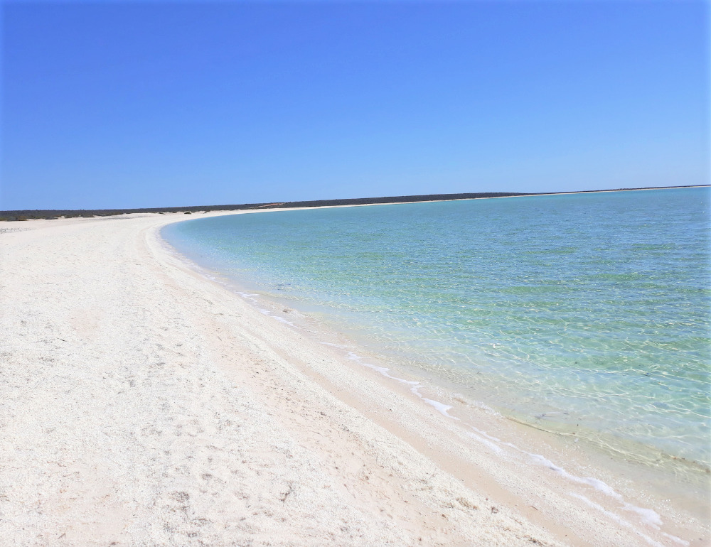 TOP 10 Beaches to Add to Your Western Australia Itinerary