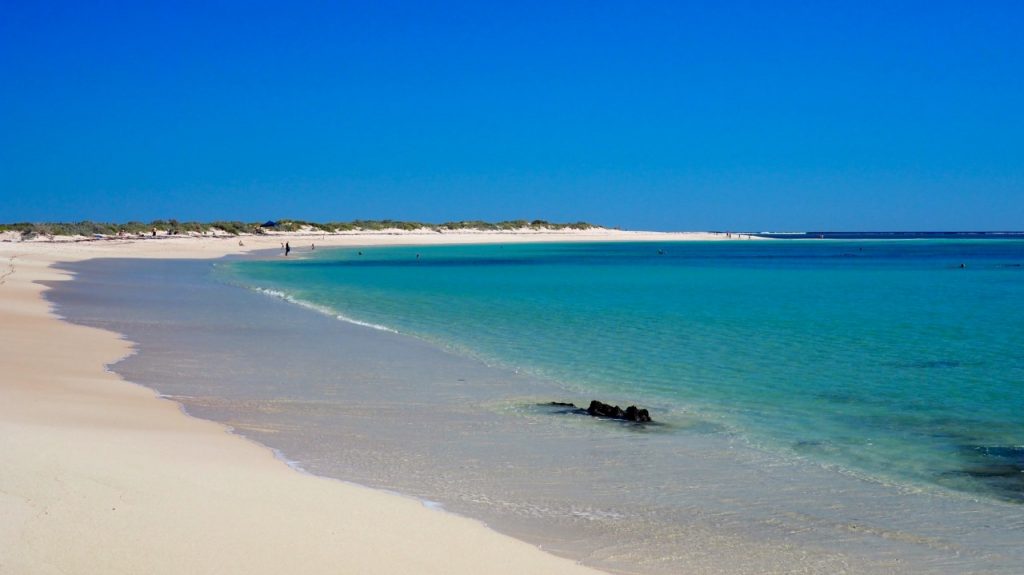 TOP 10 Beaches to Add to Your Western Australia Itinerary